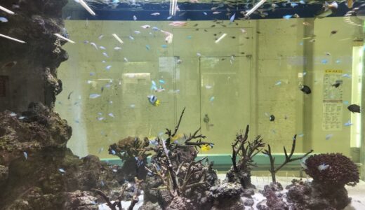 黒木純の子供は6人!? 知られざる家族構成と異母兄弟の関係