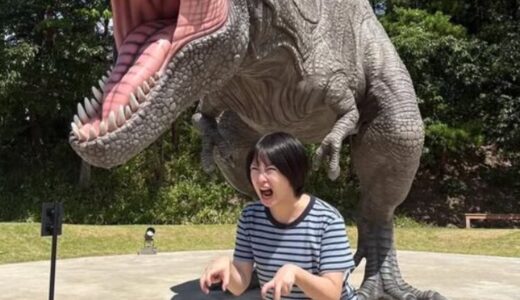 志田未来が妊娠中って本当？出産説と野村證券勤務の旦那の真相！