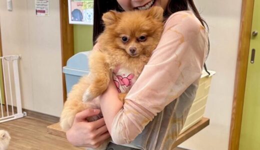 佐久間みなみの父親の人物像と母親の仕事や兄との秘話を徹底解説