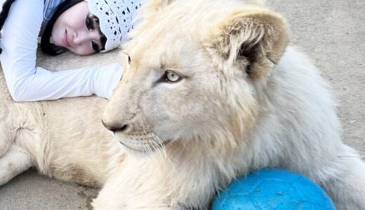 プリンセス天功（引田天功）は結婚して子供がいる？現在の住まいはどこ？