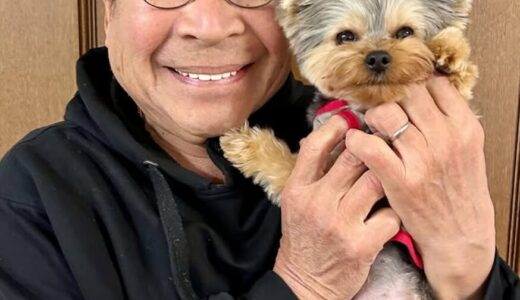 ばんばひろふみの再婚した奥さんは京都の一般人！元嫁・平山みきと旅館の謎！